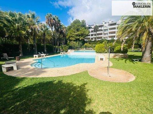 La Joya - Los Corales