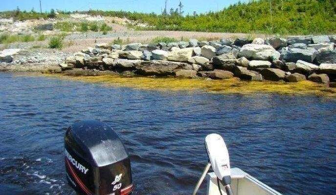 Uferbefestigung Lot 7 mit Bootsrampe