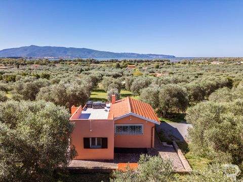 Orbetello Häuser, Orbetello Haus kaufen