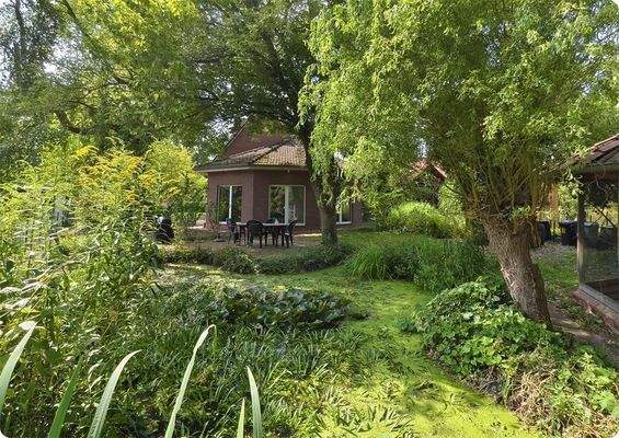 Blick über den Gartenteich