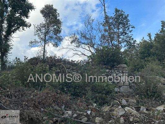 Grundstück 8 ha