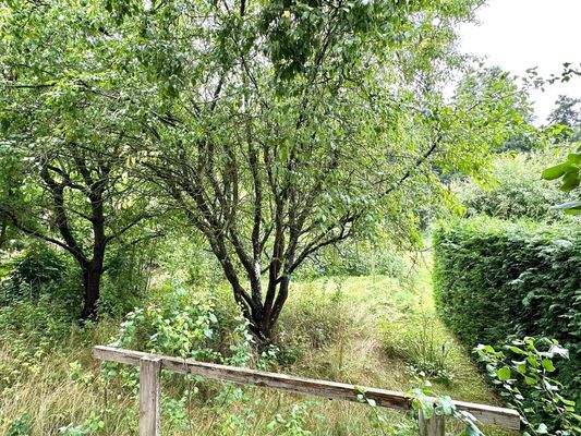 Aussicht vom Wohnzimmer