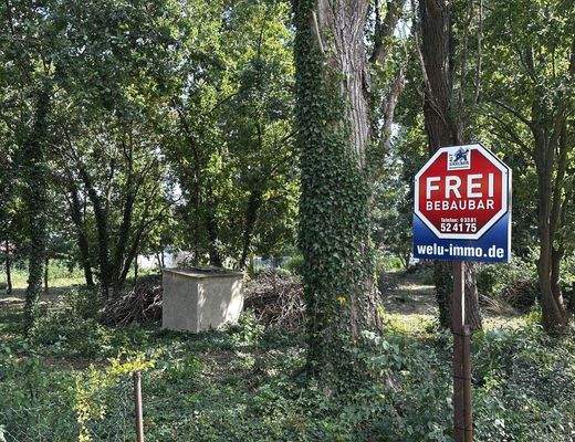 Grundstück Bild 5.jpg