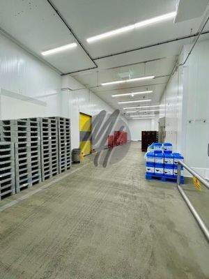 INFOS UNTER: 06171-586000