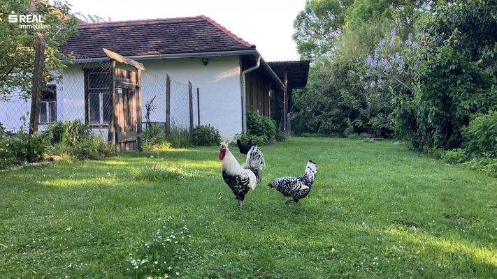 Am Morgen, erste Tour.....