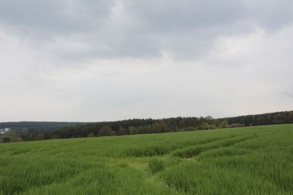 Grundstück - Impressionen 