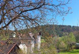 Wohnzimmerblick 