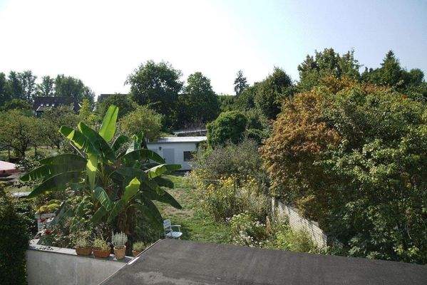 Ausblick Küche OG.jpg