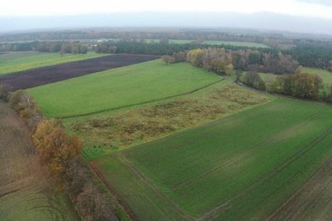 Westerkappeln Bauernhöfe, Landwirtschaft, Westerkappeln Forstwirtschaft