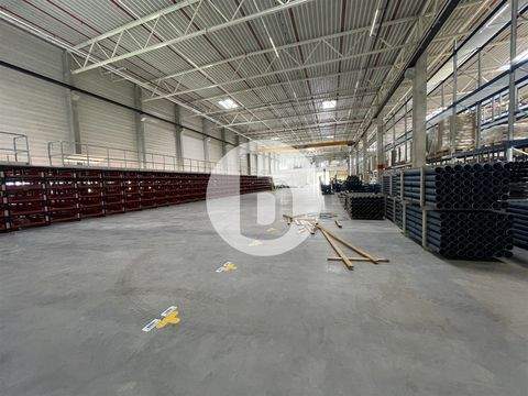 Seevetal Halle, Seevetal Hallenfläche