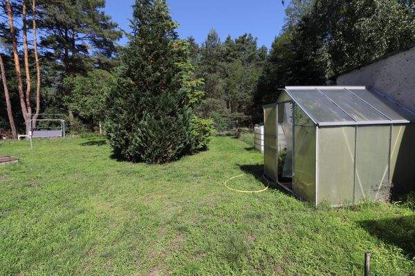 Garten mit eigenen Wald