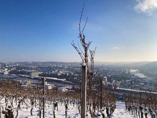 Winterimpressionen: Blick auf Würzburg aus den Weinbergen