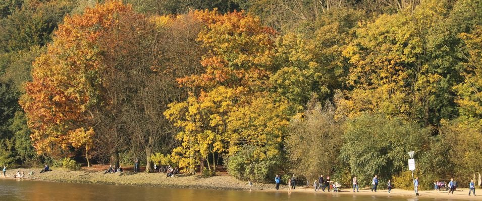 Herbst an der Elbe