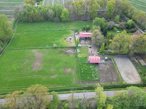 Bühren Bauernhöfe, Landwirtschaft, Bühren Forstwirtschaft