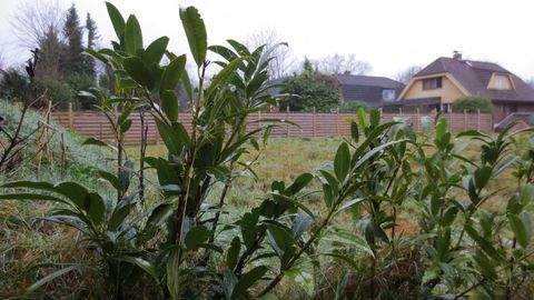 Halstenbek Grundstücke, Halstenbek Grundstück kaufen