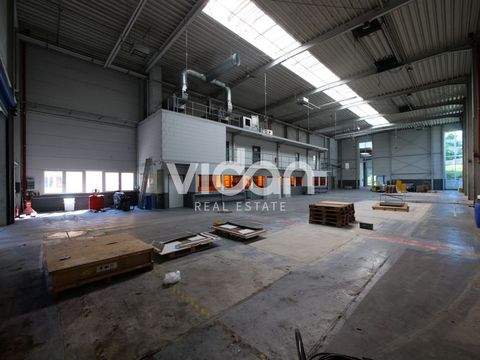 Bergisch Gladbach Halle, Bergisch Gladbach Hallenfläche