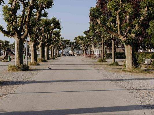 Konstanz_Parkanlage.jpg