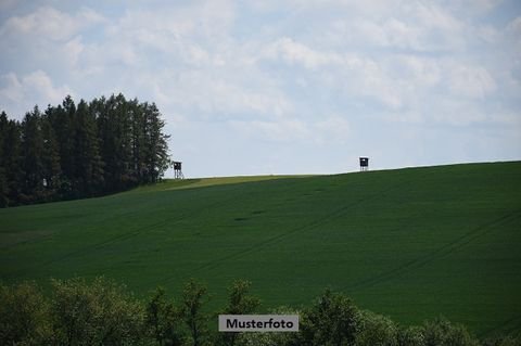 Kesseling Bauernhöfe, Landwirtschaft, Kesseling Forstwirtschaft