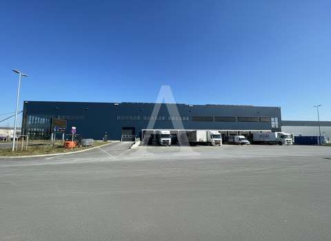 Köln Halle, Köln Hallenfläche