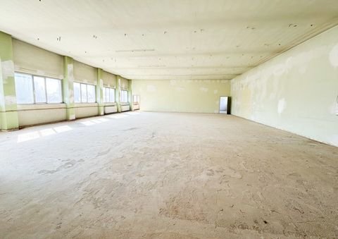 Chemnitz / Siegmar Halle, Chemnitz / Siegmar Hallenfläche