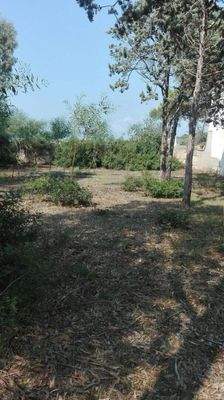 Torre Squillace – fertigzustellendes Wohnprojekt direkt am Meer