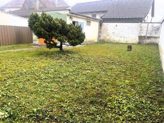 eingezäunter Garten