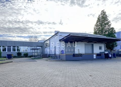 Wedel Halle, Wedel Hallenfläche