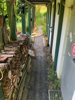 IMG_0294