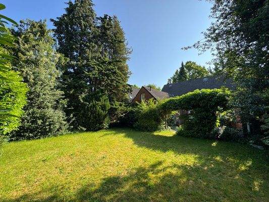 20250612_070409517_iOS