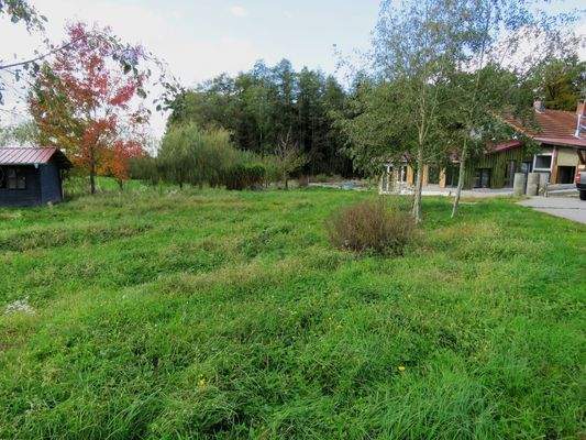  sonniges Grundstück vor dem Haus