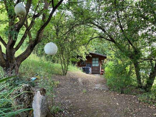 Gartenimpressionen 2