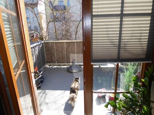 Zugang Balkon
