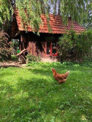 Hühnerhaus