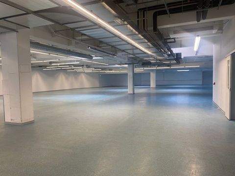 Friedrichsdorf Halle, Friedrichsdorf Hallenfläche