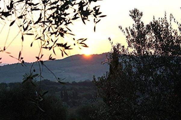 Sonnenaufgang vom Gelände