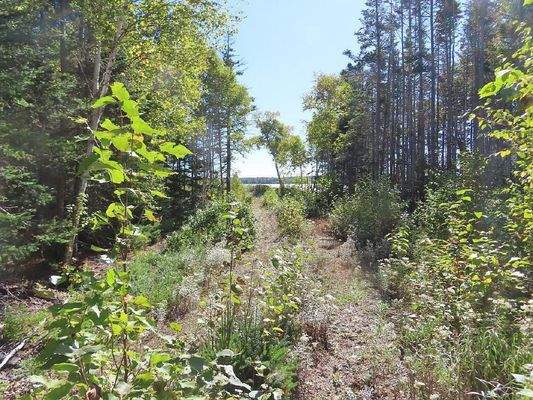 Cape Breton - Bras d`Or Lake - Tolles See-Ufergrun