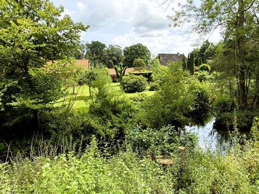 Blick vom Mühlenbach