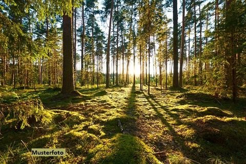 Grünewald Bauernhöfe, Landwirtschaft, Grünewald Forstwirtschaft