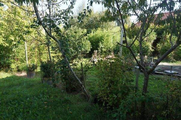 Garten.jpg