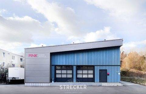 Pfinztal Halle, Pfinztal Hallenfläche