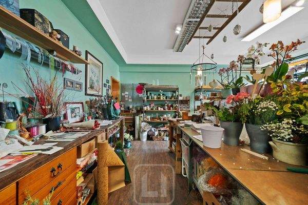 Kreativ & inspirierend