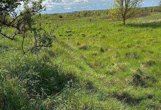 Blick auf das Grundstück 