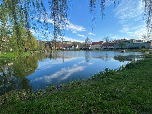 Crossen Teich (2)