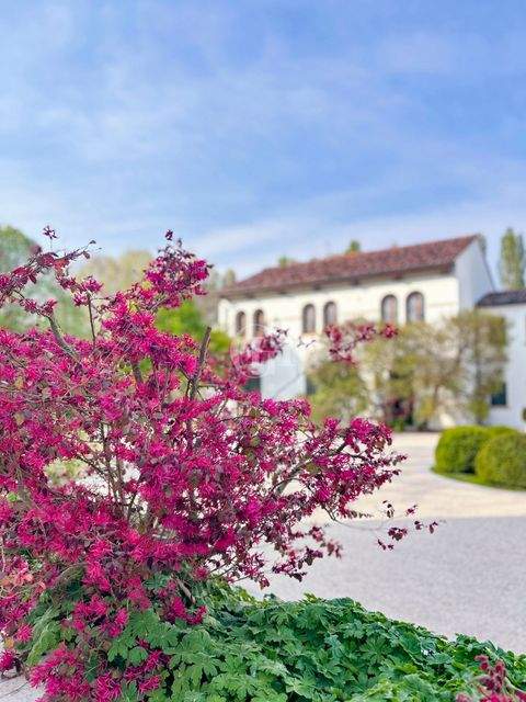 Cessalto Häuser, Cessalto Haus kaufen