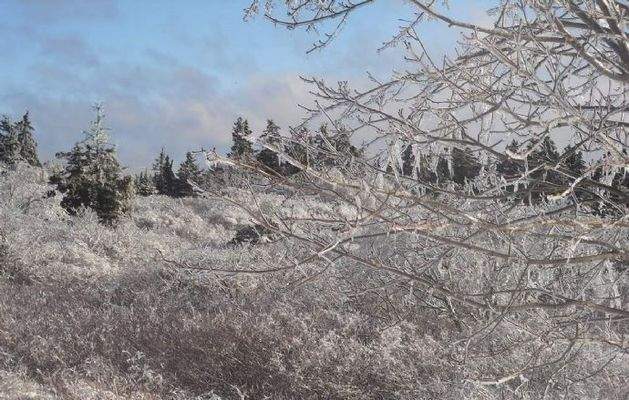 Eiszauber am Meer - Winterimpressionen