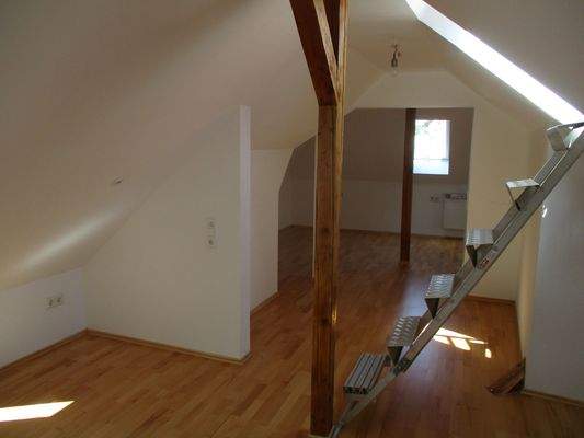 IMG_1001 - Kopie.JPG