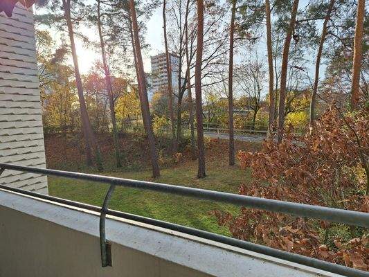 Balkonblick im Herbst