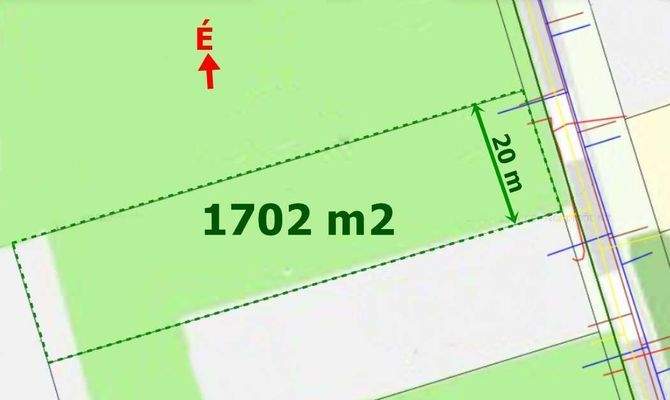 bartók közm (1).jpg