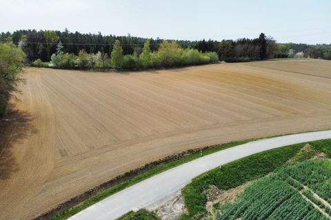 Reisbach Bauernhöfe, Landwirtschaft, Reisbach Forstwirtschaft