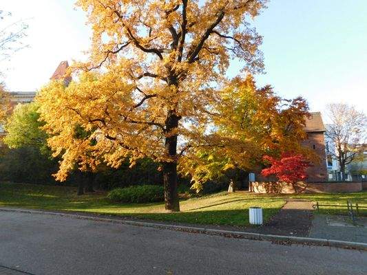 unmittelbare Umgebung 